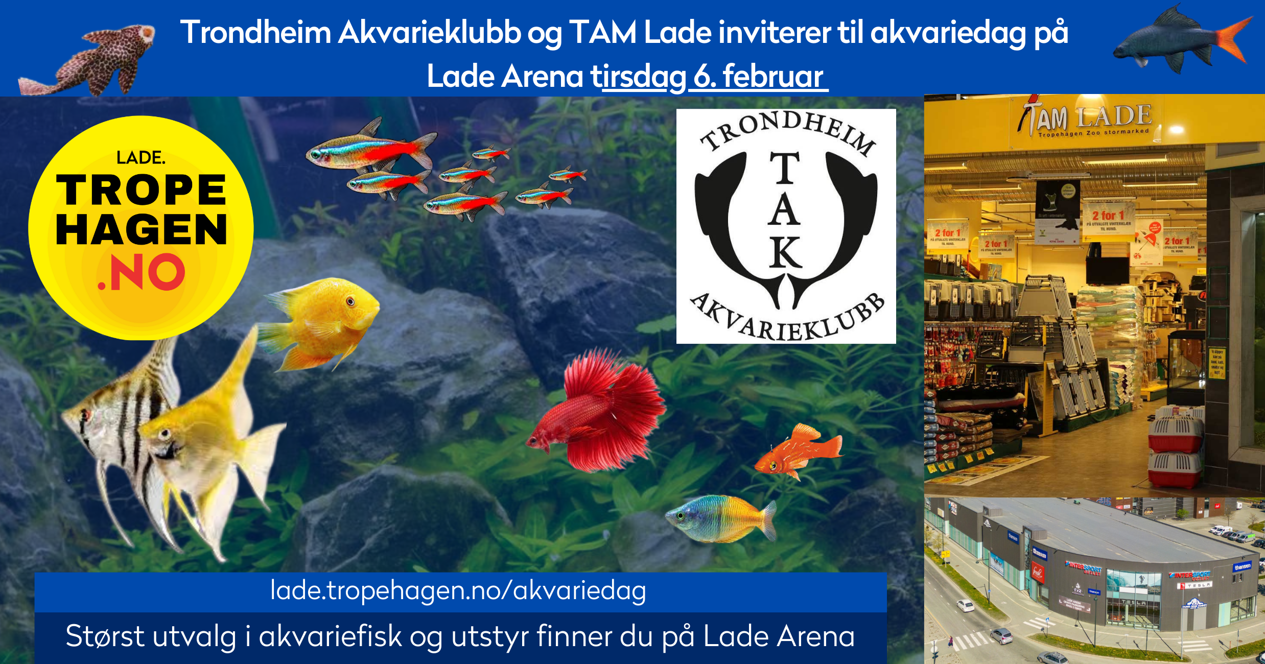 Akvariedag Lade