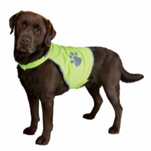 Trixie Refleksvest