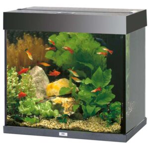 Juwel Akvarium LED Lido 120
