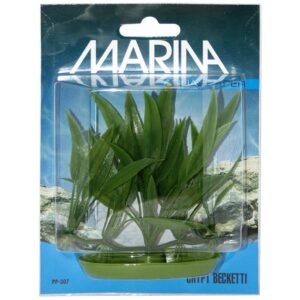 Plastplante crypt becketti