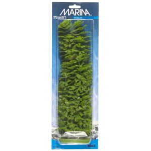 Plastplante Ambulia