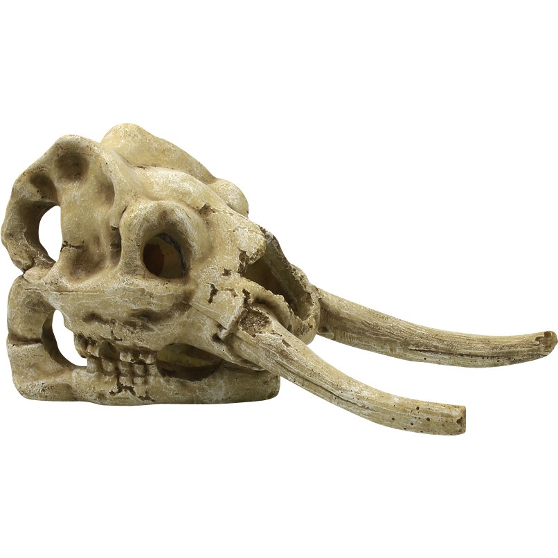 4FISH Kranium 23.5x12x11.8 cm