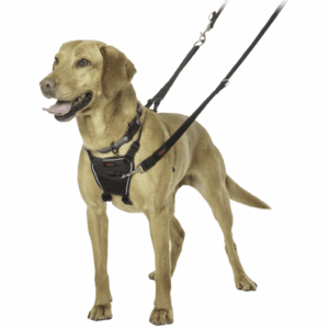 Halti No Pull - Antitrekksele