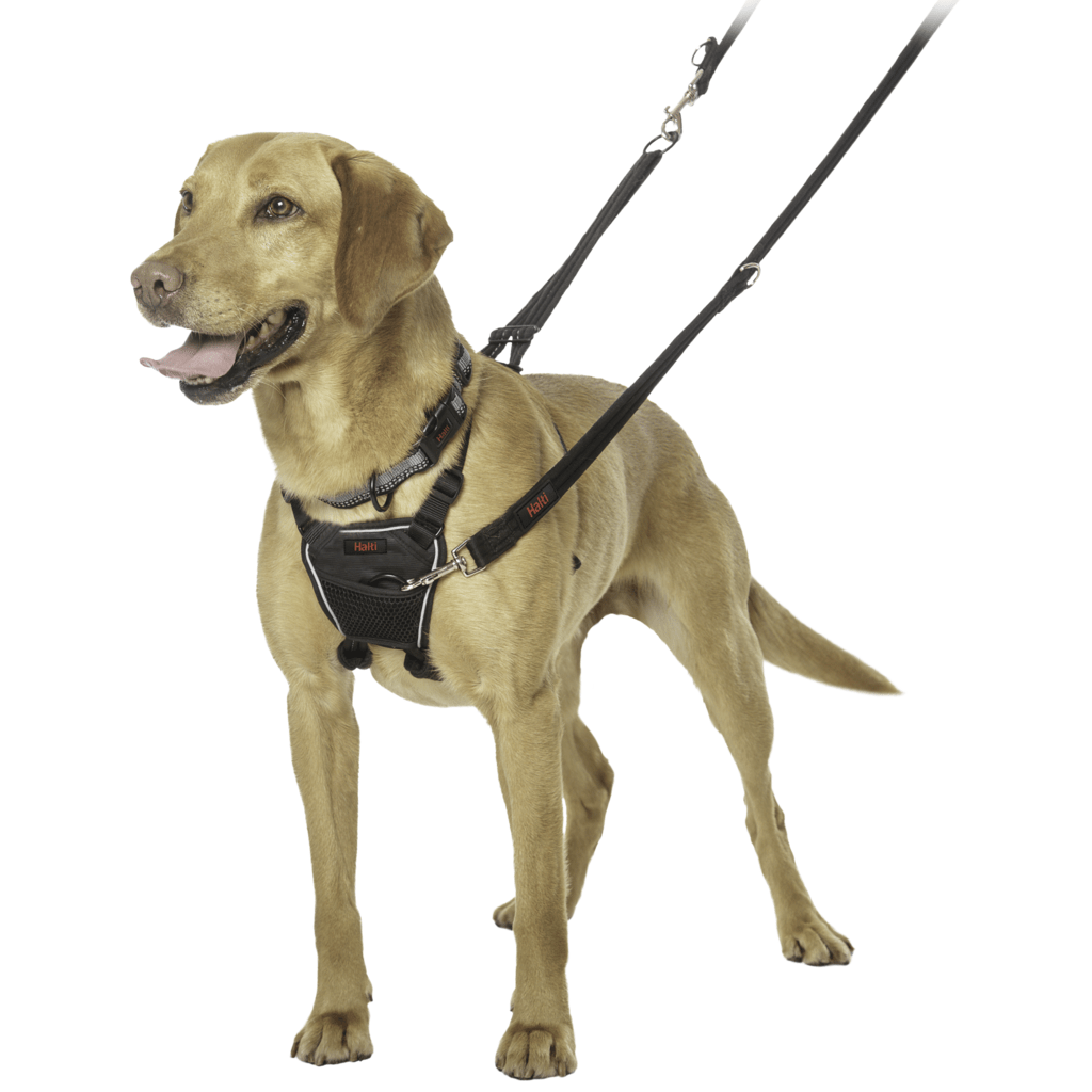 Halti No Pull - Antitrekksele