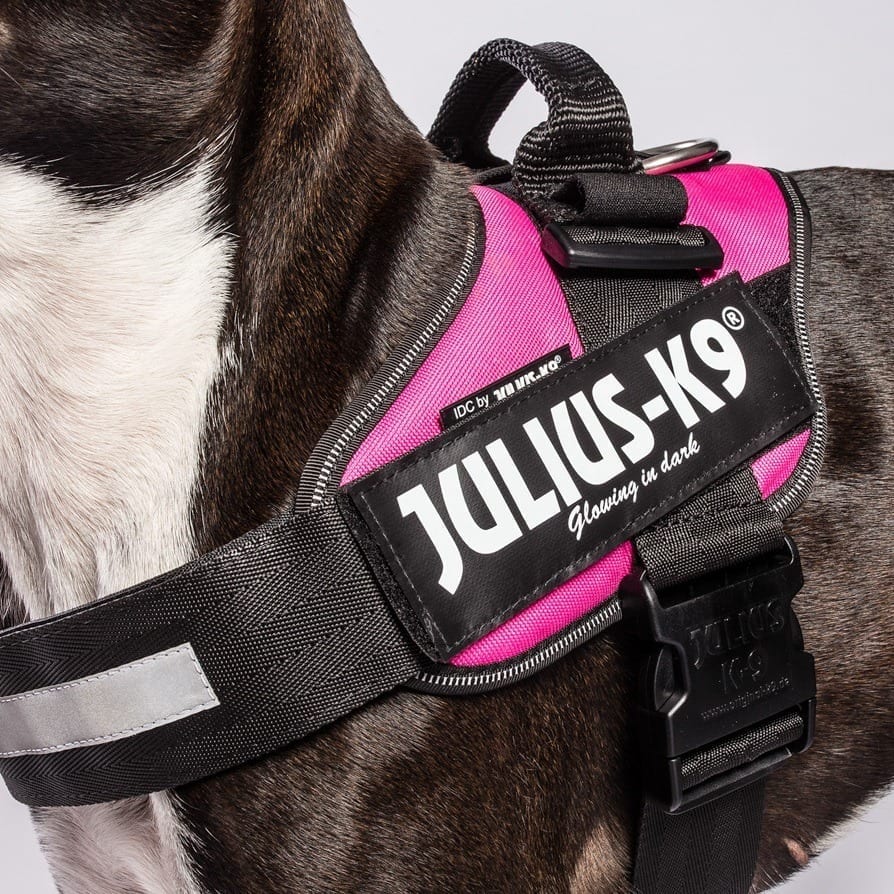 Julius-K9 labelmerker med borrelås
