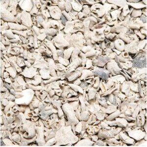 Muslingshell 15kg
