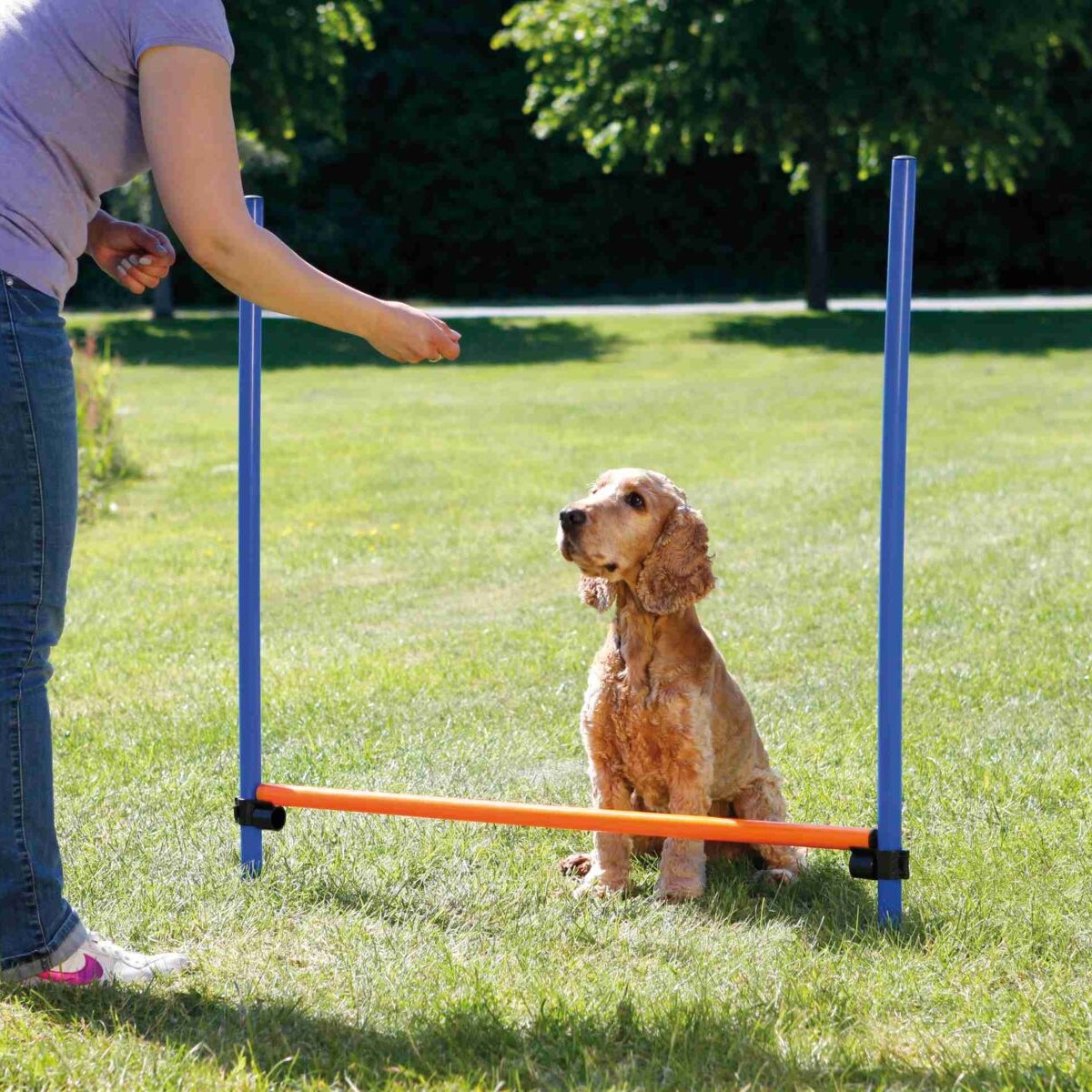 Trixie Agility hund Hurdle Hopphinder