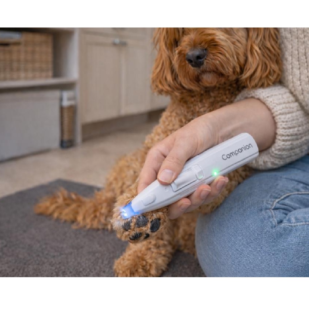 Companion potetrimmer med lys