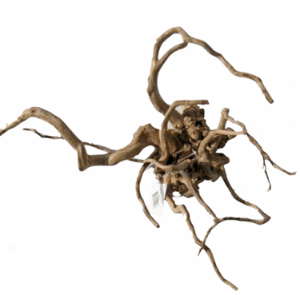 Desert Root M 30-43 cm