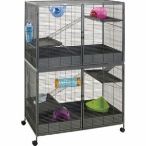 Royal Suite XL