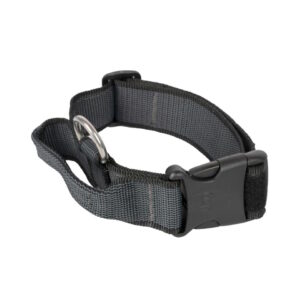 Julius-K9 C&G Halsbånd med Håndtak 38-53 cm- 40 mm