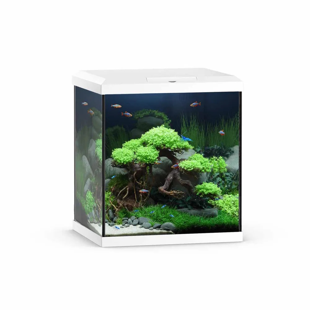 Juwel Vio Cube akvarium 54L - 41x36x47cm