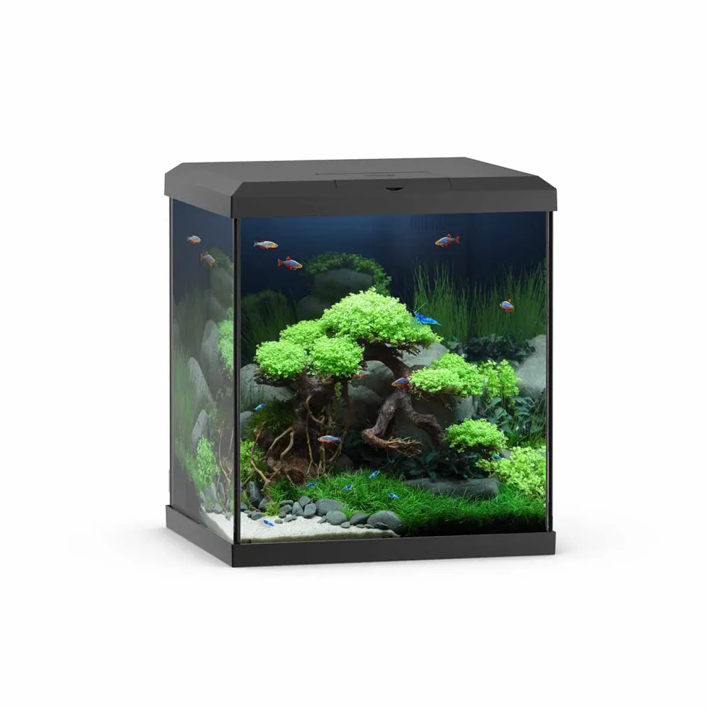 Juwel Vio Cube akvarium 54L - 41x36x47cm