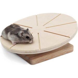 Living World Green Wooden Running Disc