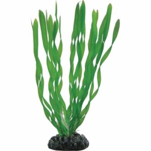 Plastplante Vallisneria