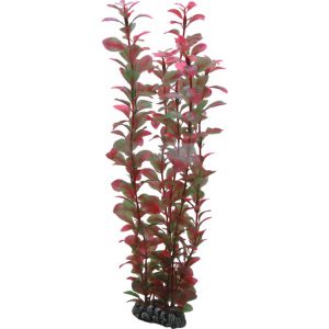 Plastplante Ludwigia