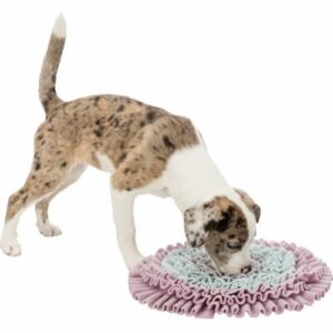 Trixie Junior Sniffing Carpet-Snusematte Valp