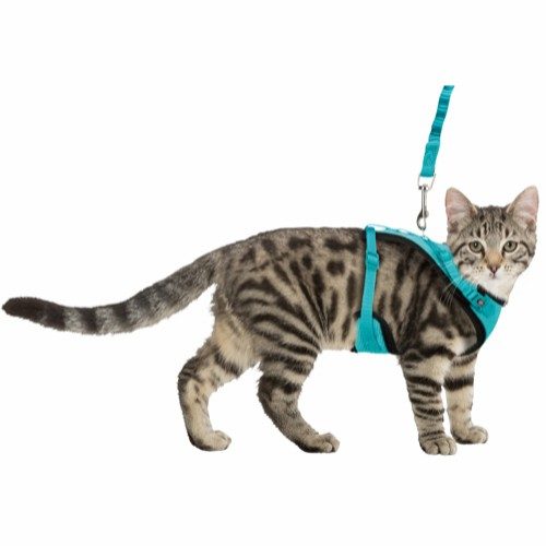 Mesh Y-sele for katt ass farger