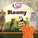 Bloomy