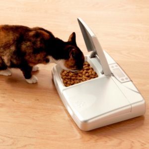 Petsafe Staywell forautomat til hund og katt digital timer