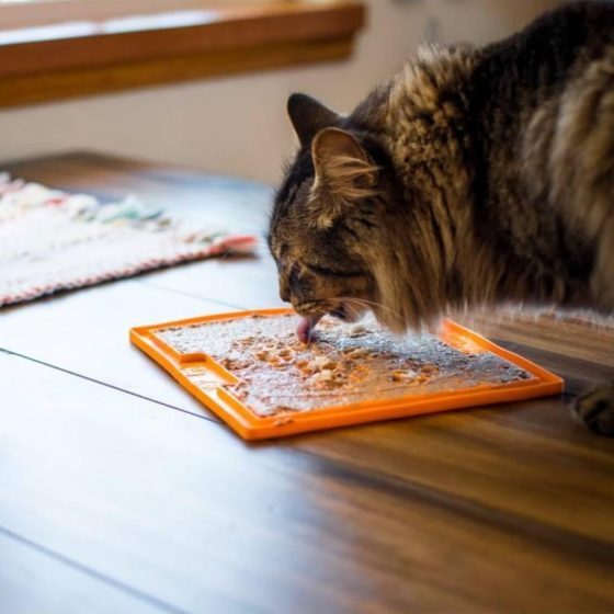 LickiMat Cat Soother spisematte