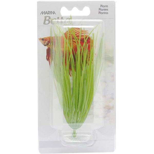 Plastplante hairgrass mini med sugekopp