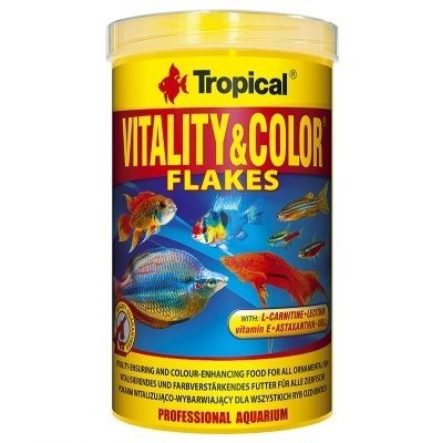 Tropical Vitality & Color