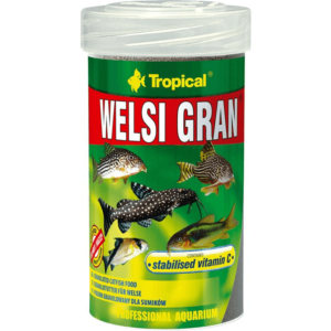 Tropical Welsi Gran