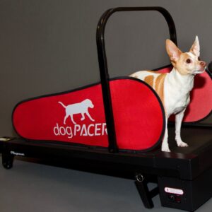 Dogpacer mini Norge