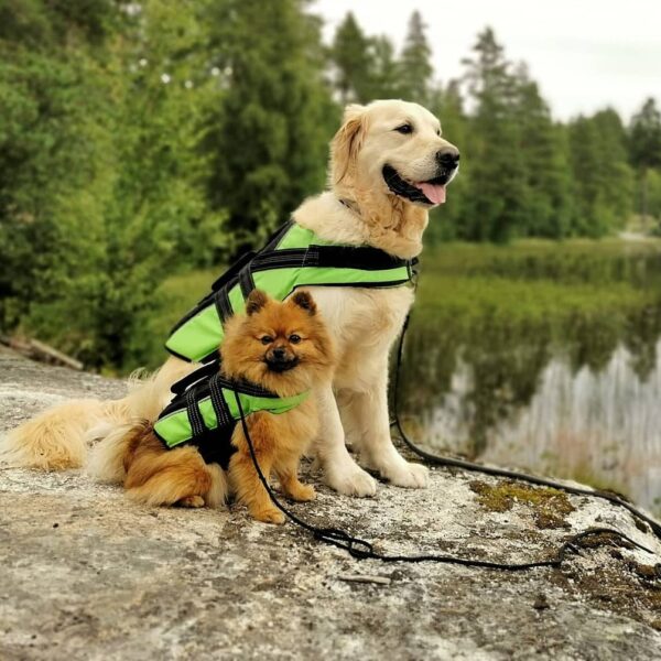 Rukka Flytevest Redningsvest Hund - Bilde 2