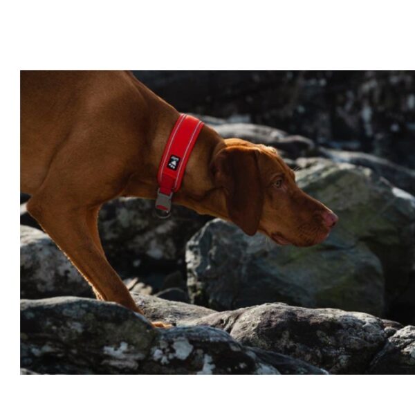 Hurtta Weekend Warrior Collar Ergonomisk Halsbånd Eco - Bilde 3