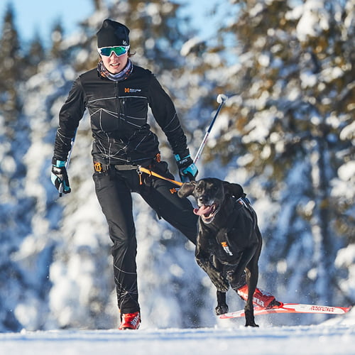 Tremble Sada brug Non-Stop Dogwear Løype Belt Snørekjøring Ski Belte - Tropehagen Lade Arena