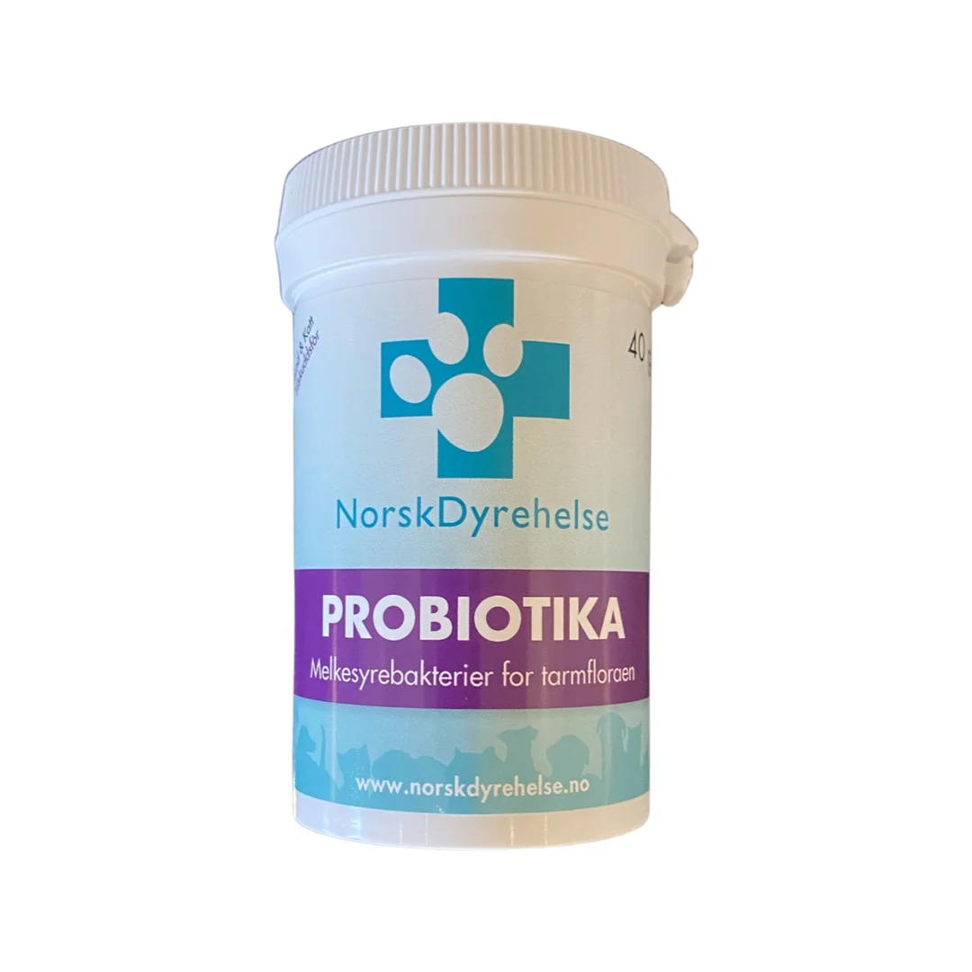 Norsk Dyrehelse Probiotika Kosttilskudd Hund-Katt