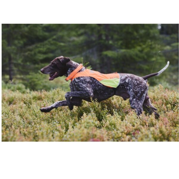 Non-Stop Dogwear Protector Hundevest Jaktdekken - Bilde 2