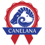 Canelana