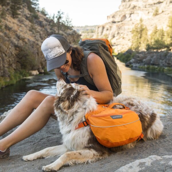 Ruffwear Approach Dog Pack Kløv Oransje