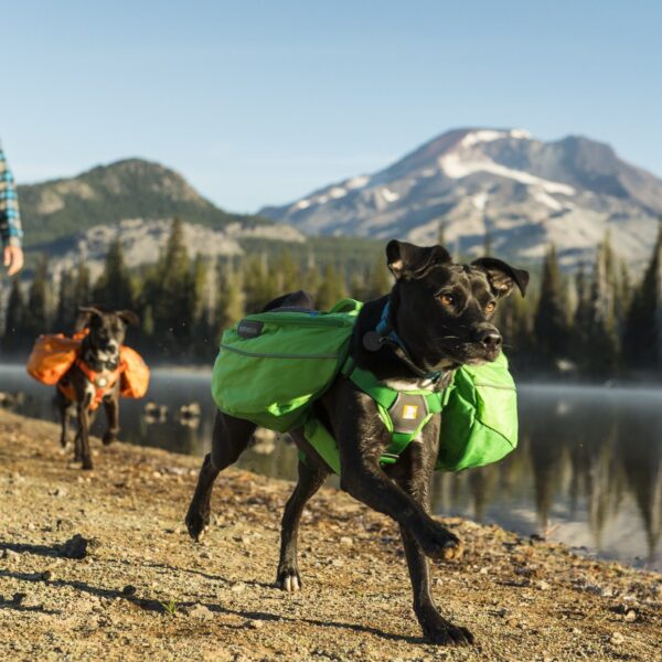 Ruffwear Approach Dog Pack Kløv Grønn