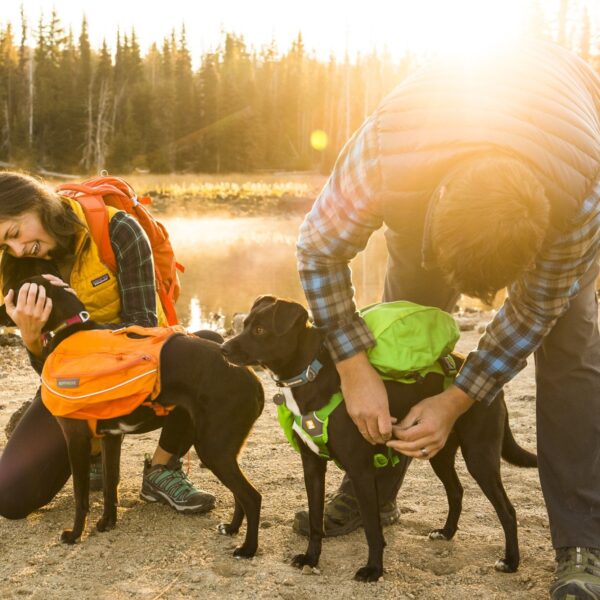 Ruffwear Approach Dog Pack Kløv Grønn