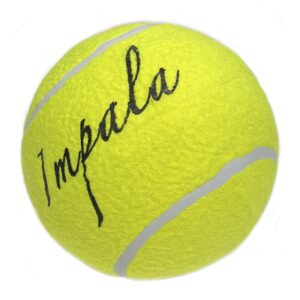 AirDog hundeleke Tennisball 16cm
