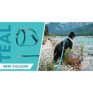 Non-Stop Dogwear Line Harness 5.0 Hundesele Teal
