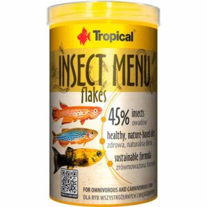 Tropical insekt meny flak