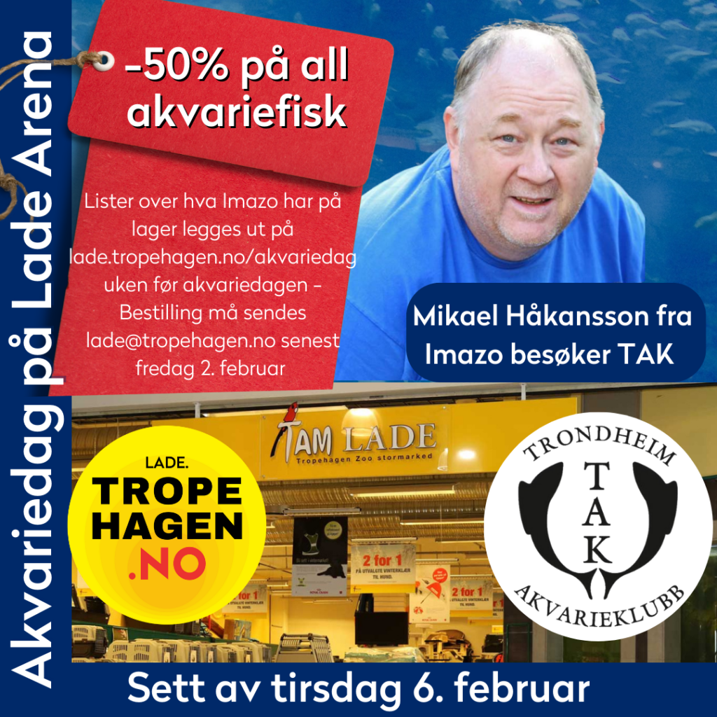 Akvariedag Lade