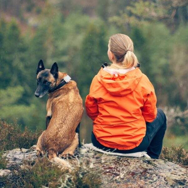 Lildog aktivitet og GPStracker hund