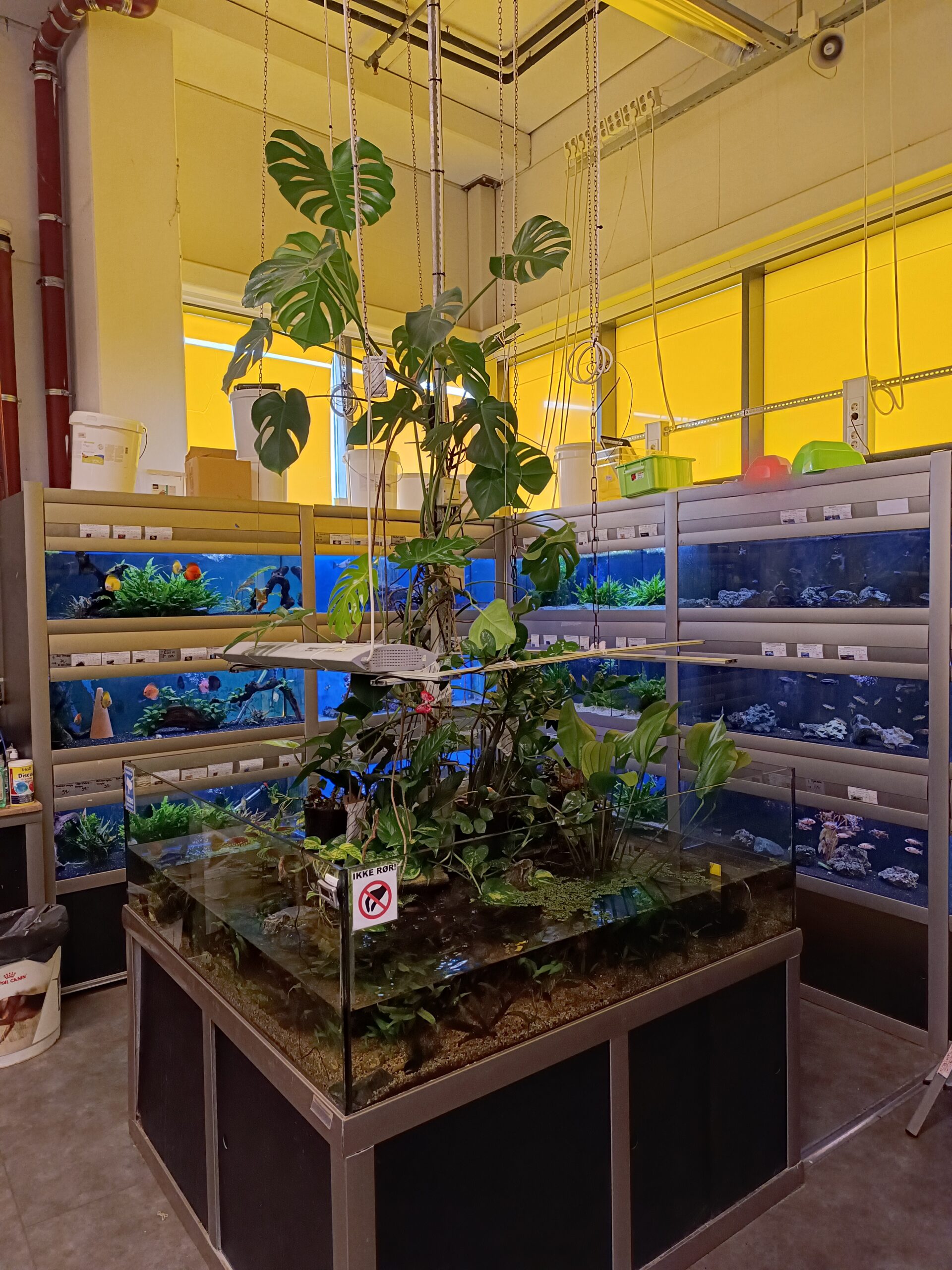 Akvariebutikken i Trondheim
