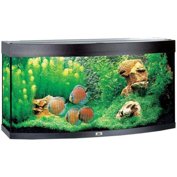 Juwel Buet Akvarium LED Vision 260 121x46x64cm