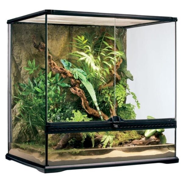 Terrarium Exo Terra Medium Tall 60x45x60cm