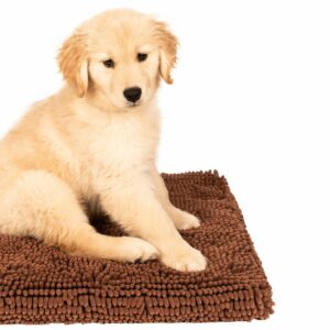 dgs dirty dog cushion pad hundemadrass