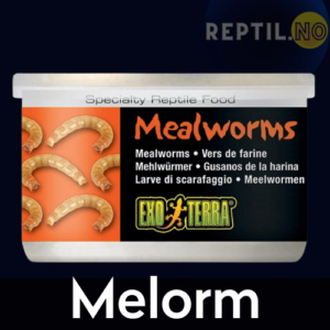 Melorm