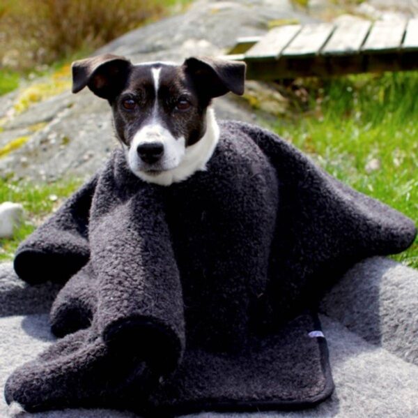 Canelana Hundeponcho / Hundepledd i Ull - Bilde 2