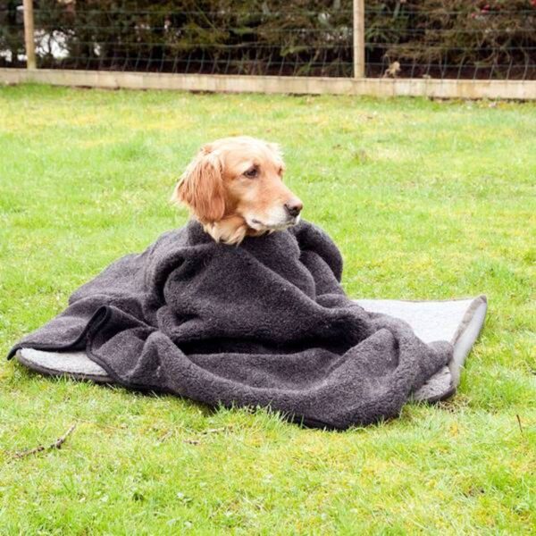 Canelana Hundeponcho / Hundepledd i Ull - Bilde 3